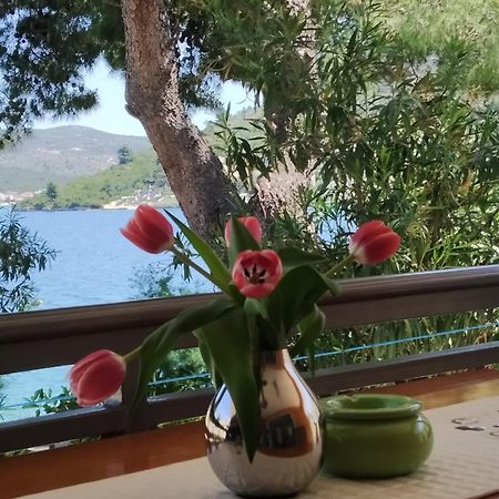 Holiday Home Milenka 罗戈兹尼察 外观 照片