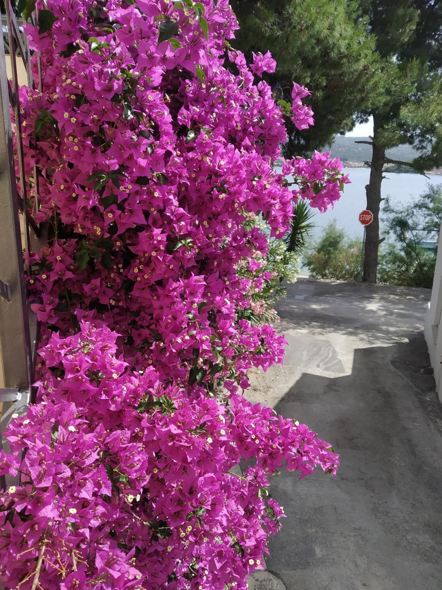 Holiday Home Milenka 罗戈兹尼察 外观 照片