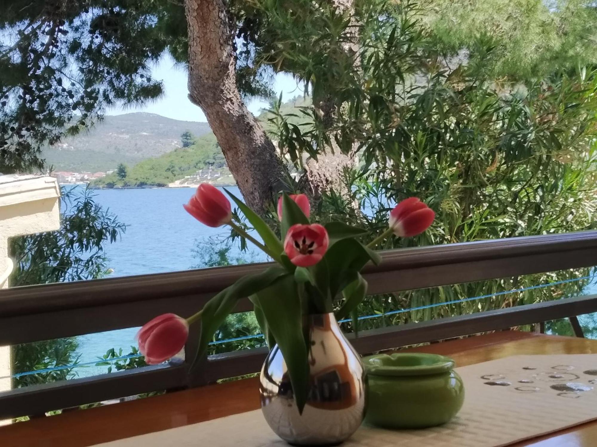 Holiday Home Milenka 罗戈兹尼察 外观 照片